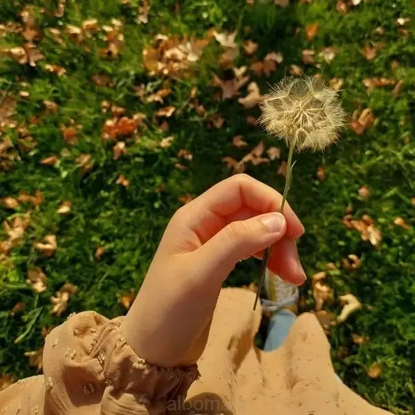  عکس دخترانه لاکچری اینستاگرام جدید