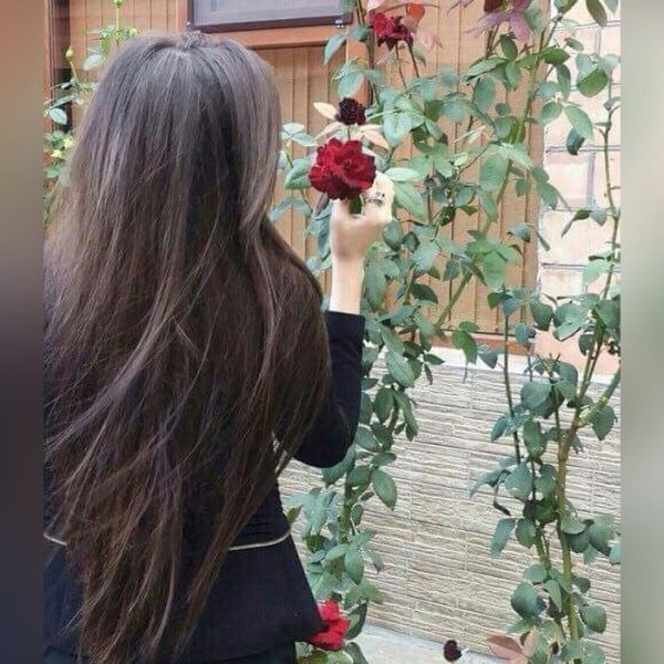  عکس دخترانه شیک با کیفیت بالا