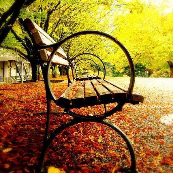  عکس پروفایل ترند امسال 2026