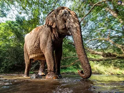  عکس مفهومی مدرن