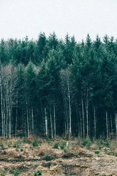  عکس مفهومی مدرن