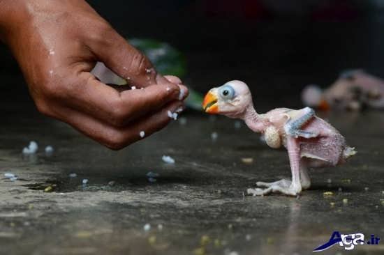  عکس های مفهومی برای تفکر