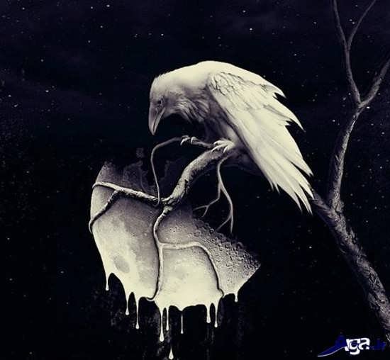  عکس های مفهومی برای تفکر