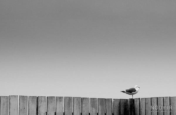  عکس هنری مینیمال