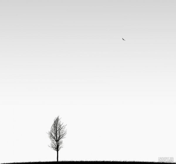  عکس هنری مینیمال