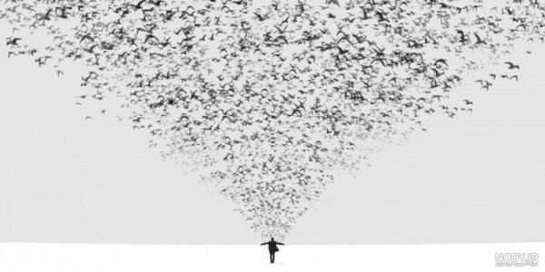  عکس هنری مینیمال