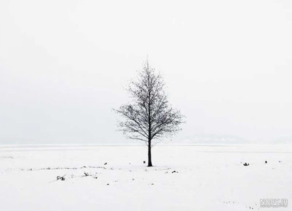  عکس هنری مینیمال