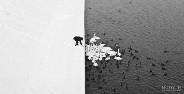  عکس هنری مینیمال