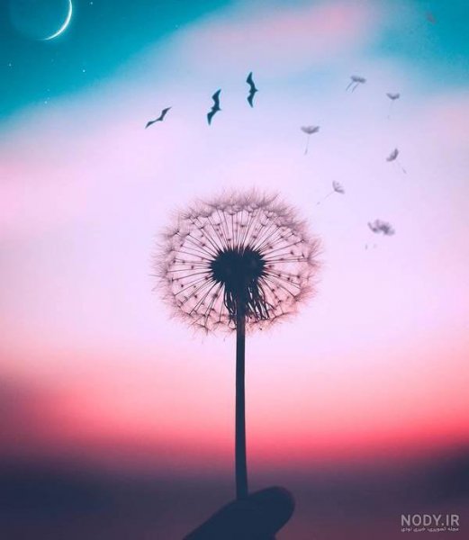  عکس بدون متن خاص