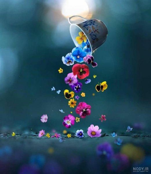  عکس بدون متن خاص