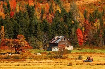  عکس طبیعت هنری