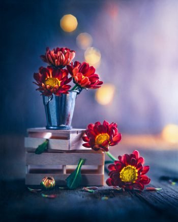  عکس طبیعت هنری