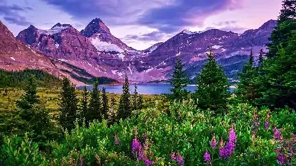  عکس طبیعت هنری