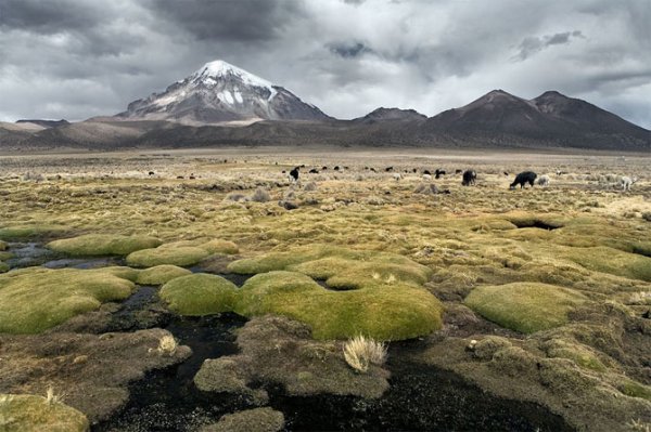  عکس کوهستان زیبا