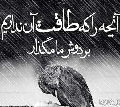  پروفایل سکوت و صبر