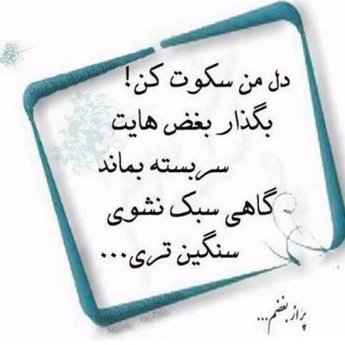  عکس سکوت را رعایت کنید