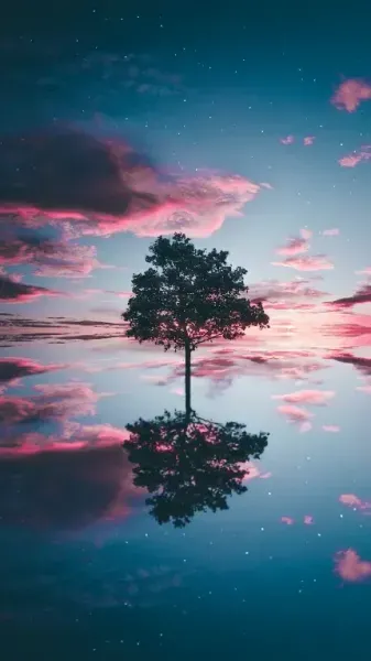  عکس تنهایی شب