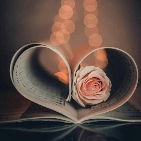  عکس پروفایل دخترانه شیک