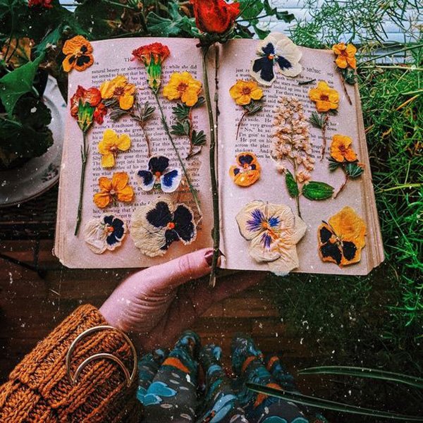  عکس پروفایل دخترانه شیک