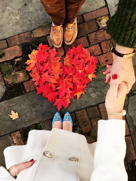  پروفایل خاص بدون متن