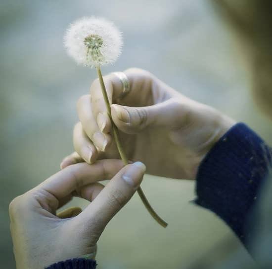  پروفایل خاص بدون متن