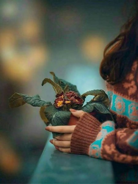  پروفایل خاص بدون متن