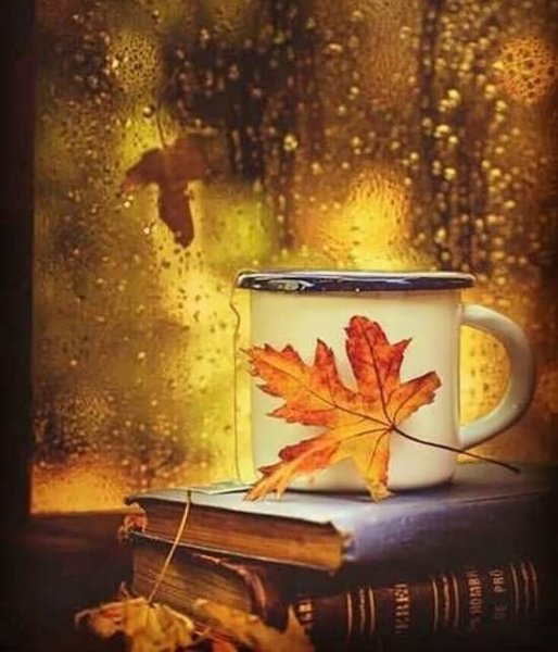  پروفایل خاص بدون متن