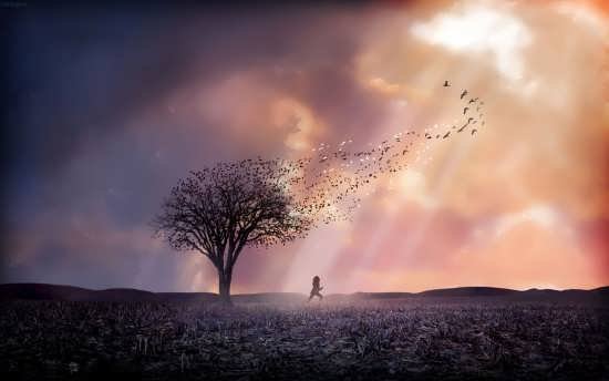  پروفایل خاص بدون متن