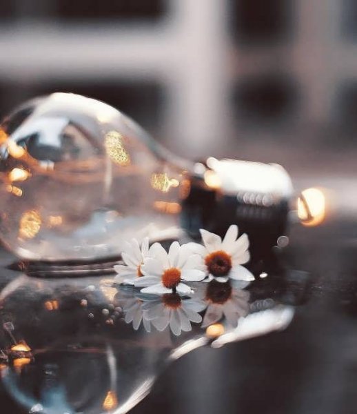  پروفایل خاص بدون متن