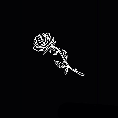  عکس هنری تیره خاص با کیفیت بالا