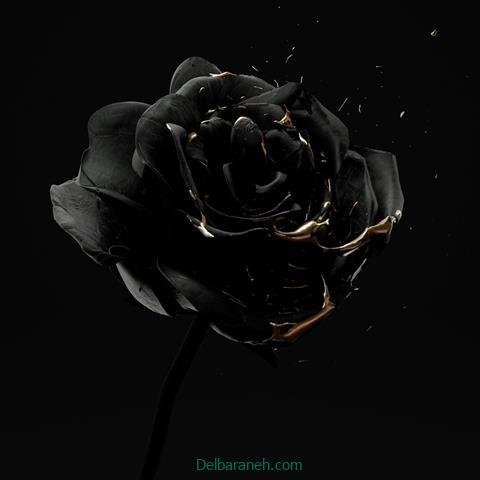  عکس سیاه خاص