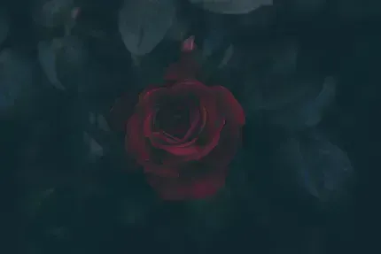  عکس هنری تیره ترند جدید