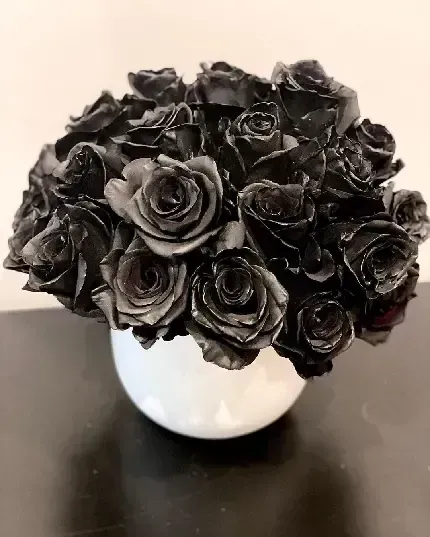  عکس هنری تیره ترند جدید