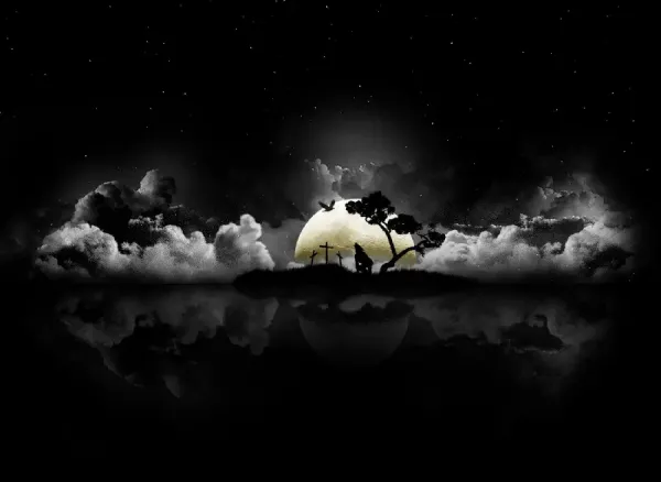  عکس هنری تیره متفاوت