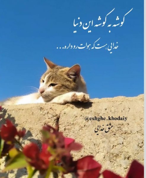  عکس پروفایل خدا جدید