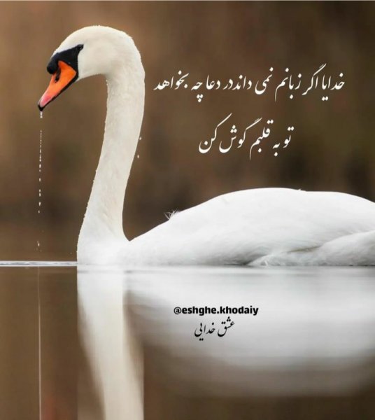  عکس پروفایل خدا جدید