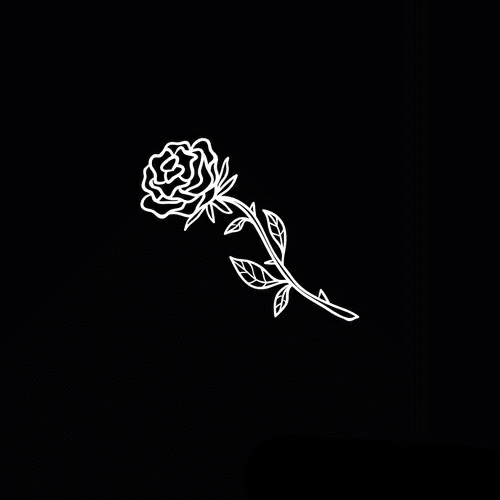  عکس هنری مشکی مناسب پروفایل