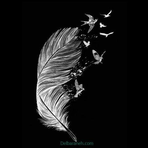  عکس هنری مشکی برای استوری