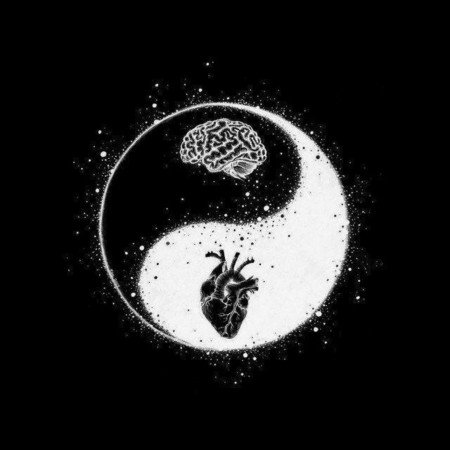  عکس هنری مشکی متفاوت