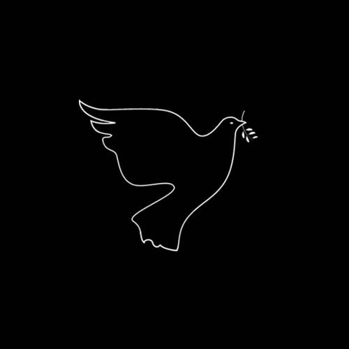  عکس هنری مشکی ترند