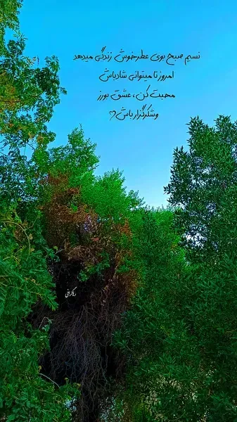  استوری جذاب برای اینستا