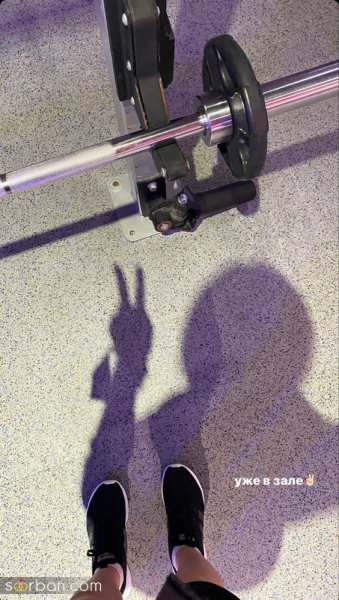  ایده استوری باشگاه