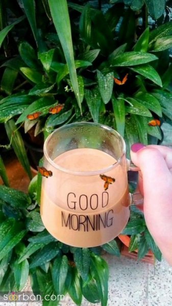 ایده استوری روزمرگی