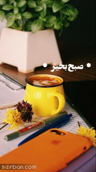 ایده استوری روزمرگی