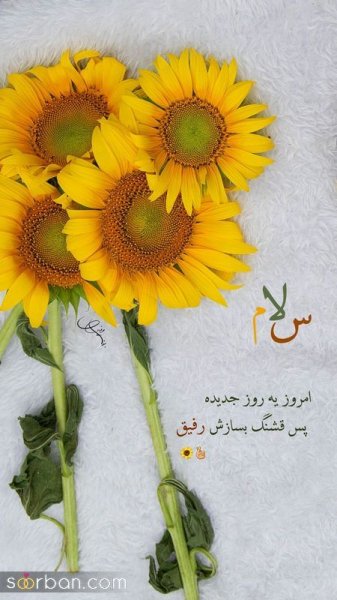 ایده استوری روزمرگی