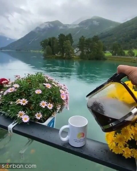 ایده استوری روزمرگی