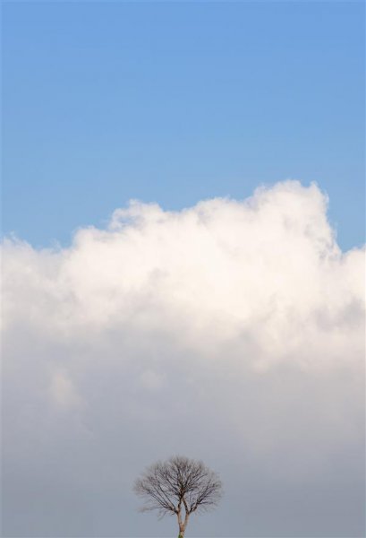  عکس هنری سیاه و سفید مینیمال