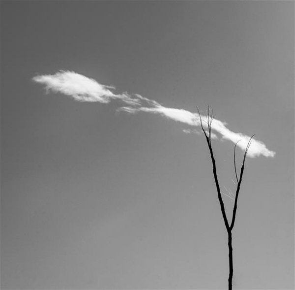  عکس هنری سیاه و سفید مینیمال