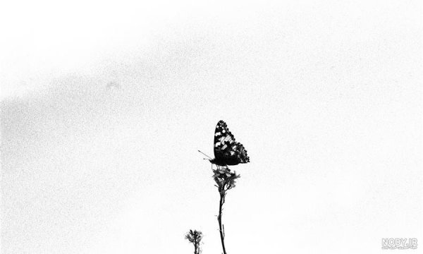  عکس هنری سیاه و سفید مینیمال