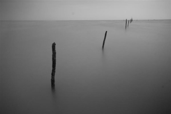  عکس هنری سیاه و سفید مینیمال